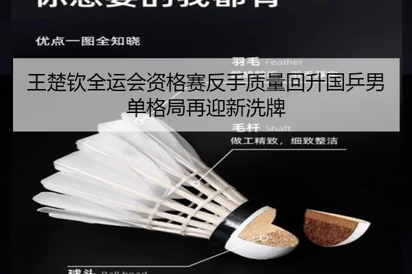 王楚钦全运会资格赛反手质量回升国乒男单格局再迎新洗牌 | JiuyouSports